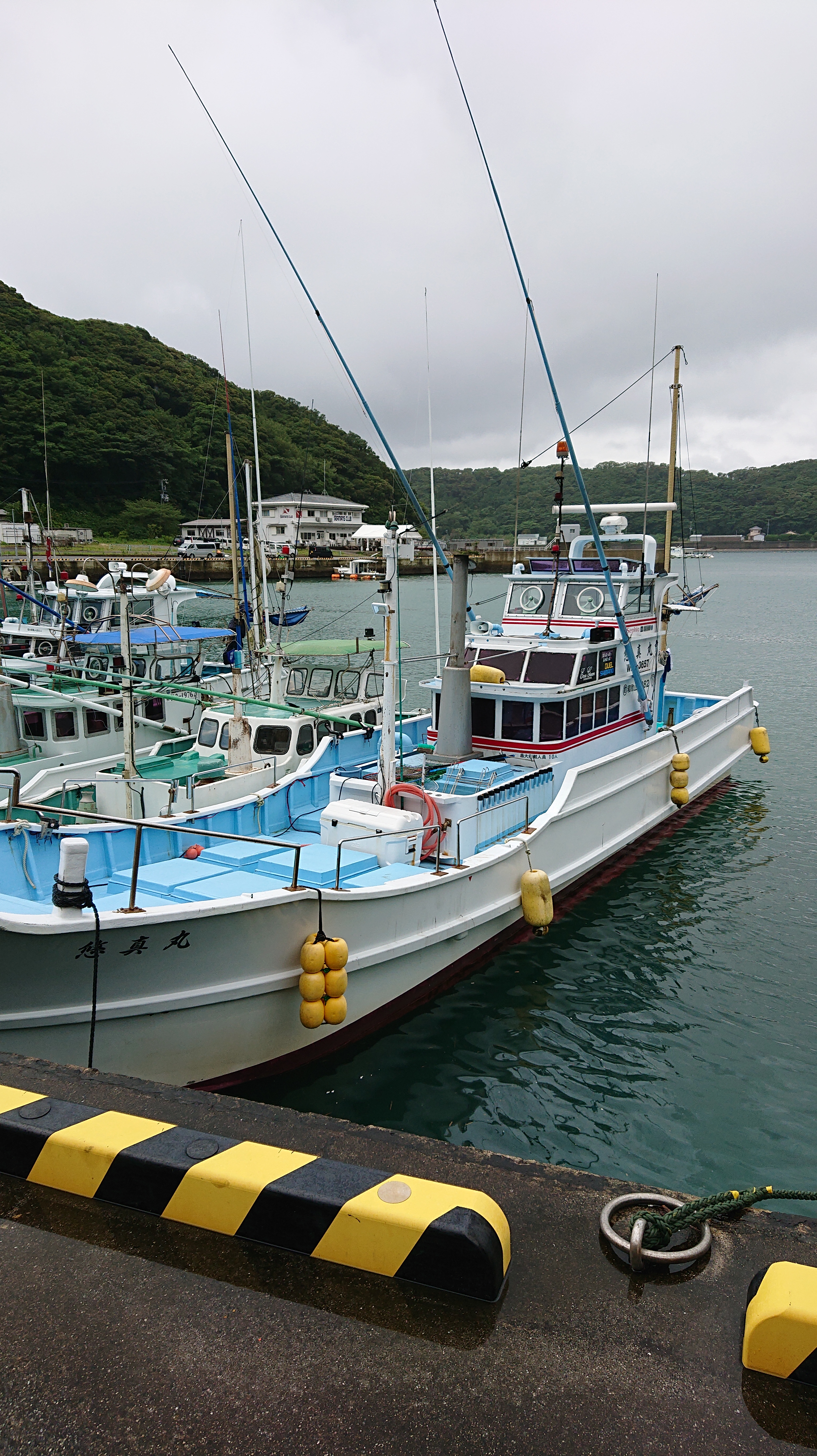 今年も串本のカツオふかせが始まりました スタッフ釣行記 南紀和歌山 フィッシング アウトドアショップ ベイマルチョウ