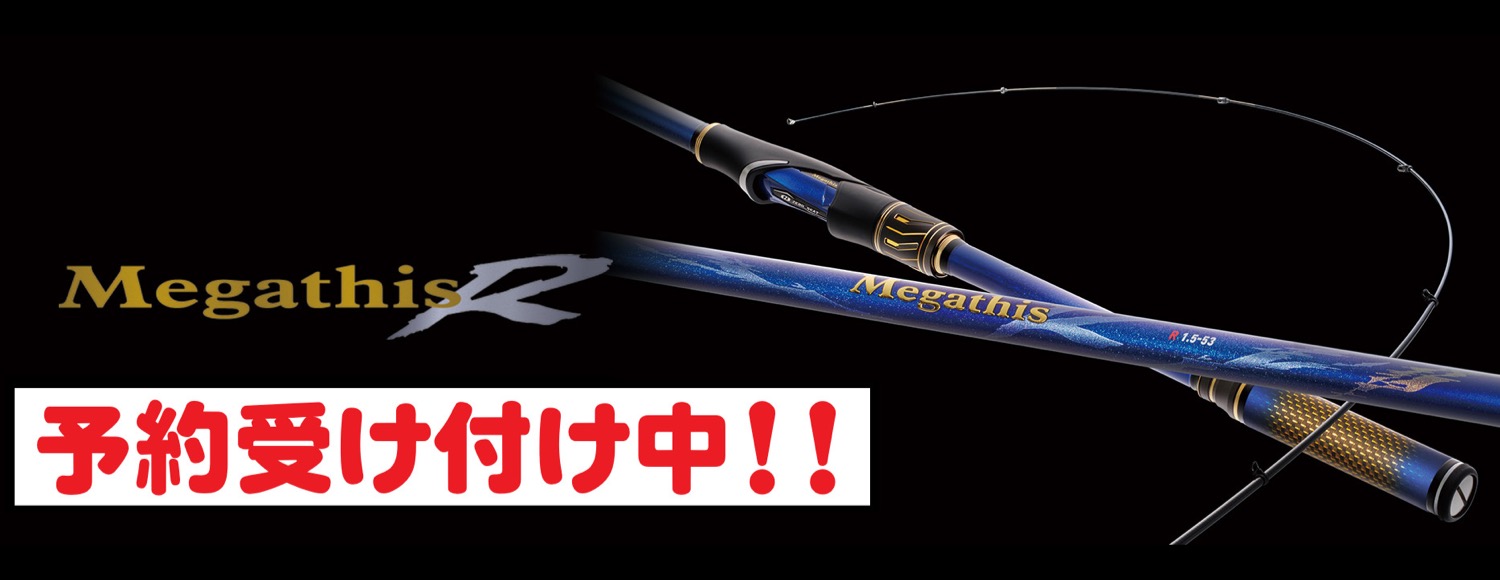 メガディス